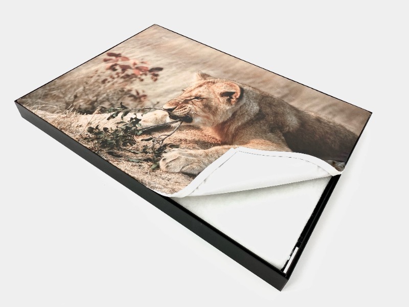 Akoestische fotoframen op maat - MrLED